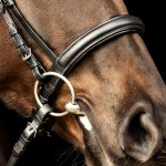 KIEFFER ULTRASOFT SUE BRIDLE